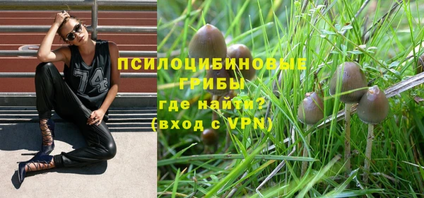 шишки Михайлов