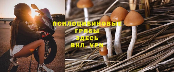 гашик Медвежьегорск