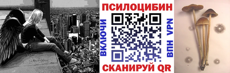 Купить Мамадыш Галлюциногенные грибы Psilocybe